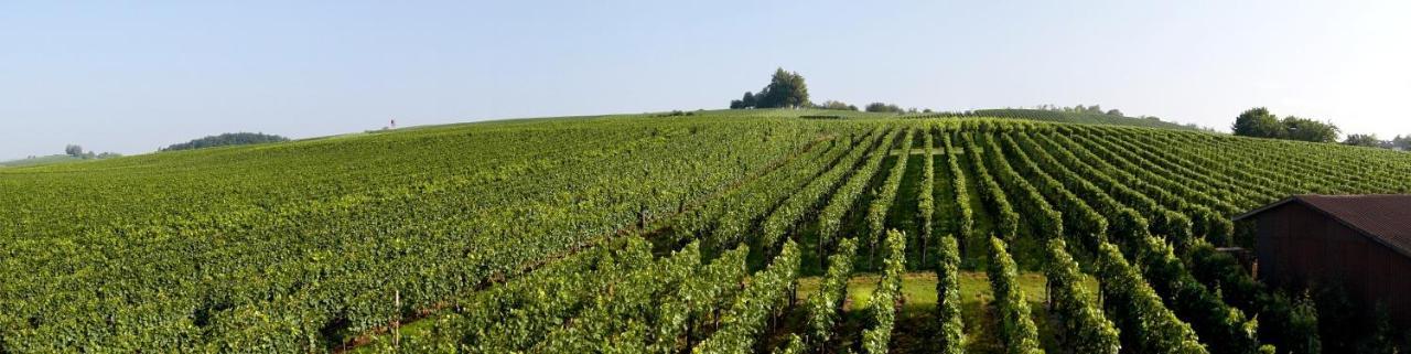 Berger Ug Hagnau am Bodensee